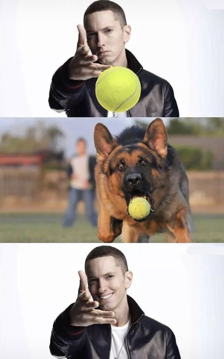 Eminem lança bola; cachorro pega a bola; Eminem feliz - meme