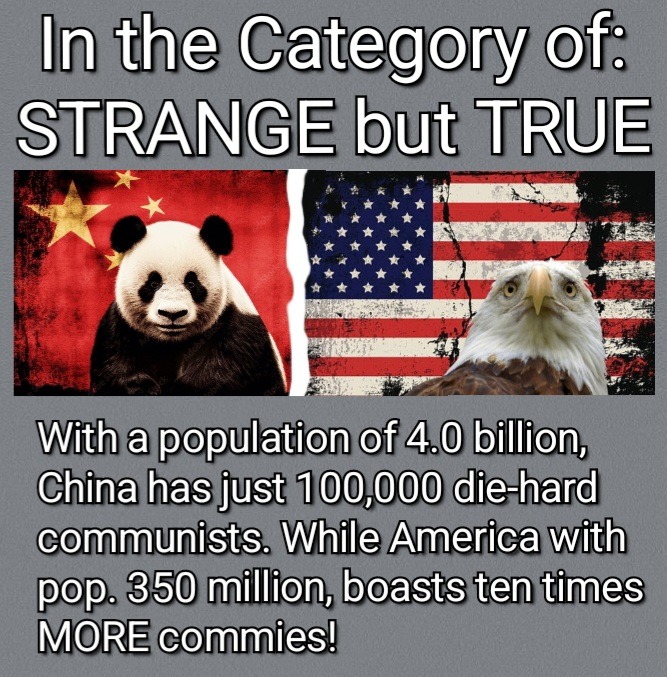 Where Did We Go Wrong? - meme