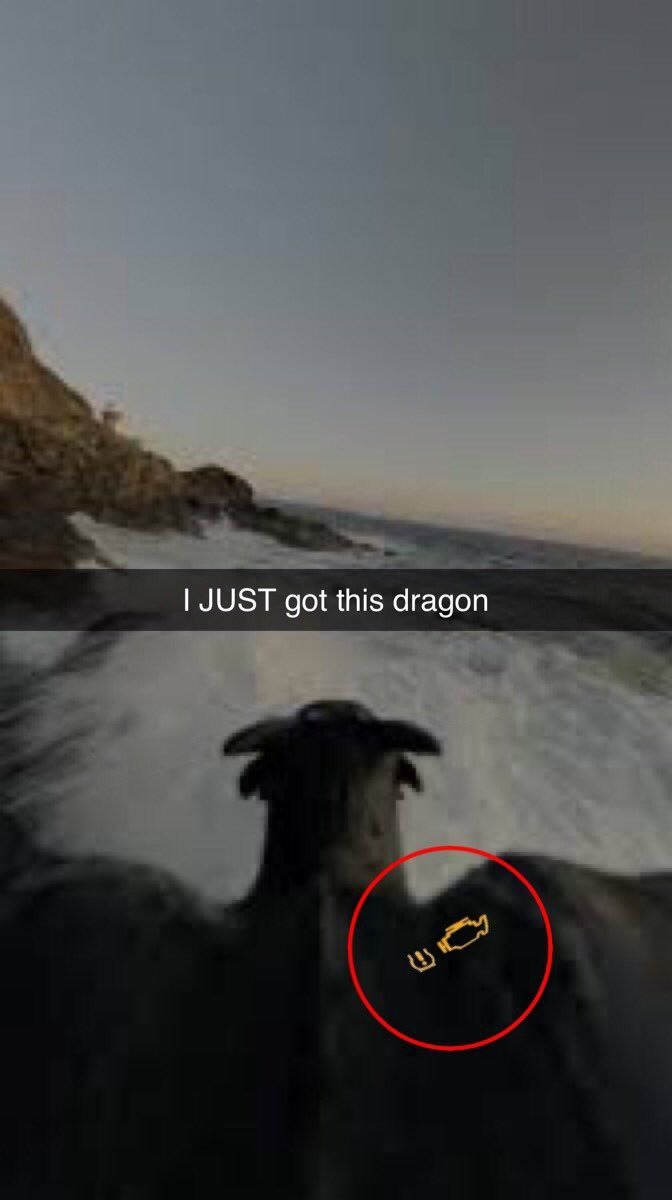 Just got this dragon and it's already judging me - meme