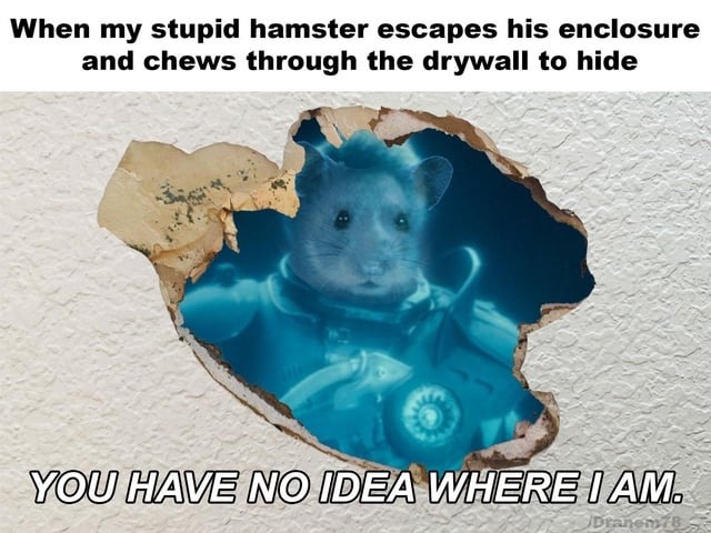 My hamster is basically Jason Bourne now - meme