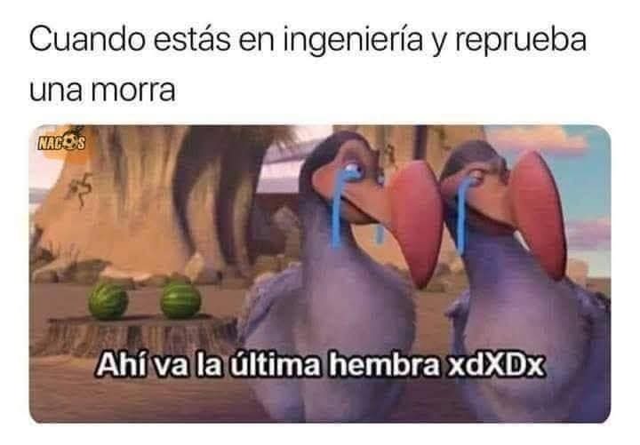 Xddxdxdxxee - meme