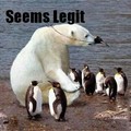 Silly polar bear tricks are kids