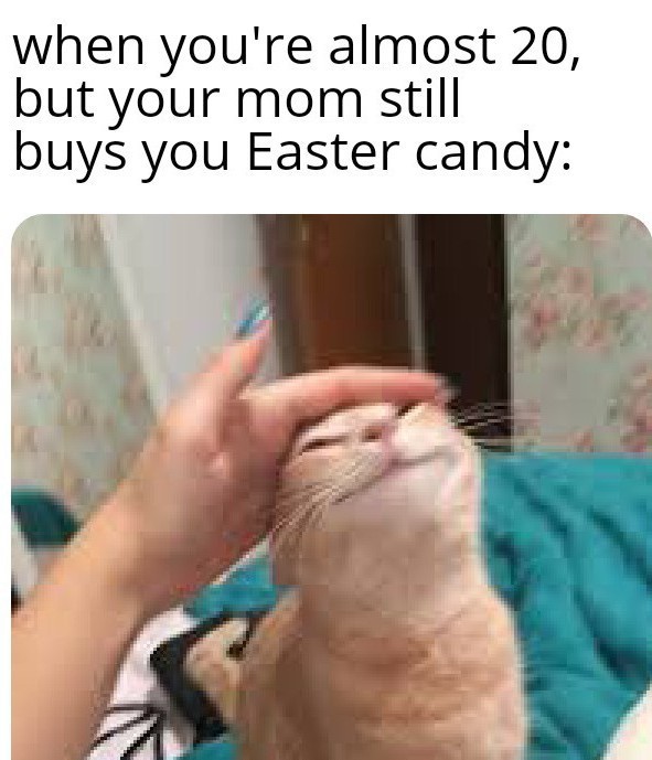 Easter candy! - meme