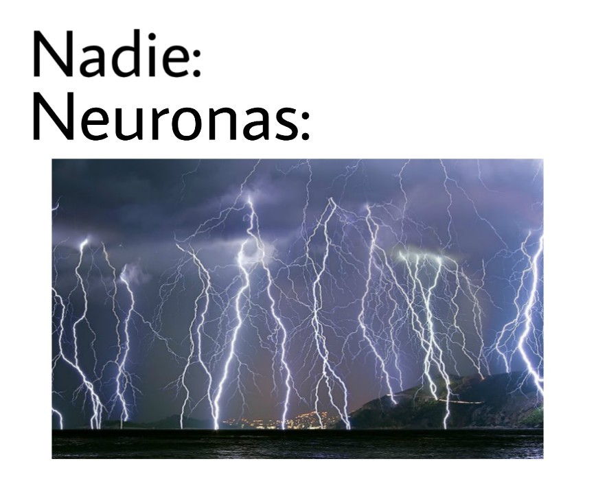 Neuronas.... - meme