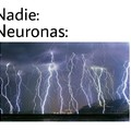 Neuronas....