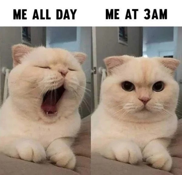 Me at 3AM and all the rest of the day - meme