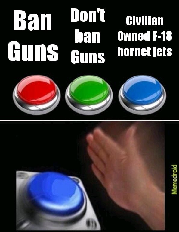 Any and all gun laws violate my rights - meme