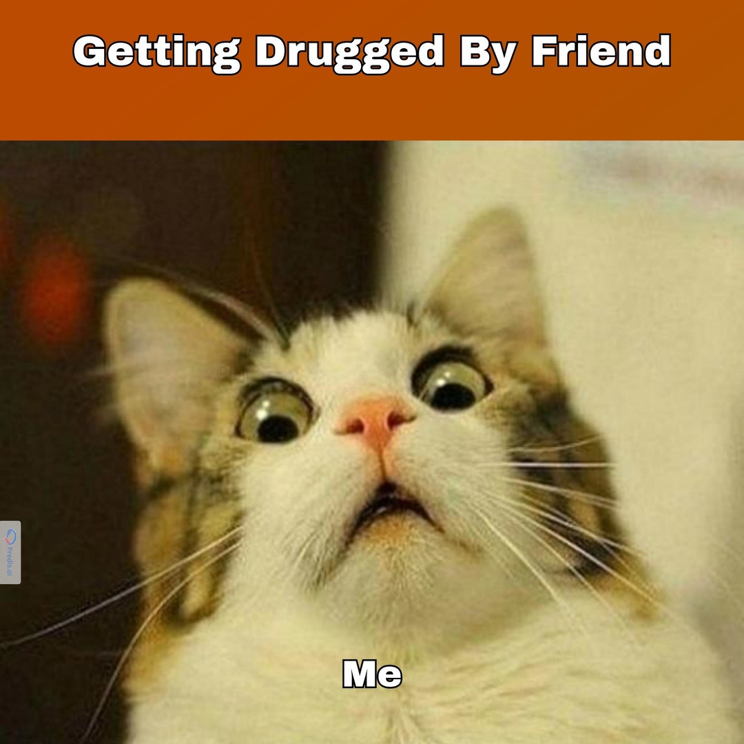 drugs make cats say moo - meme