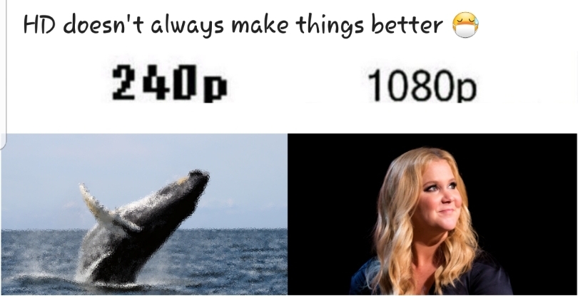HD land whale - meme