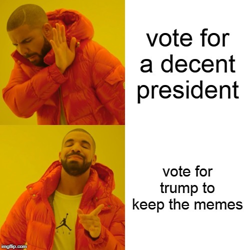 2020 election - meme