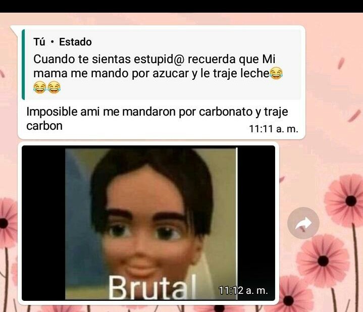 Una Captura Hecha Por Mi Meme Subido Por Seunvergaso Memedroid