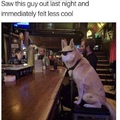 coolest guy in the bar