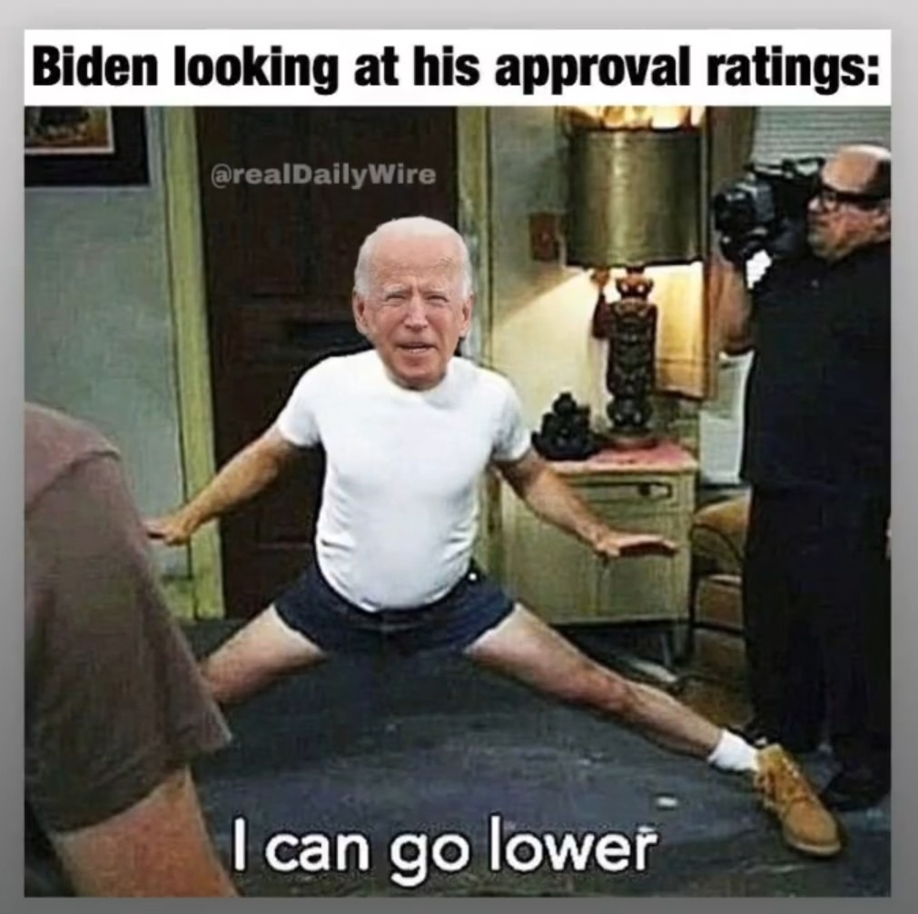 Biden Approval Ratings - meme
