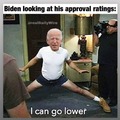 Biden Approval Ratings