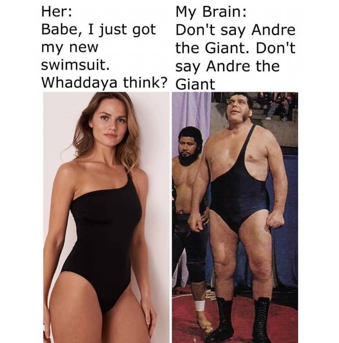 Andre the Giant - meme