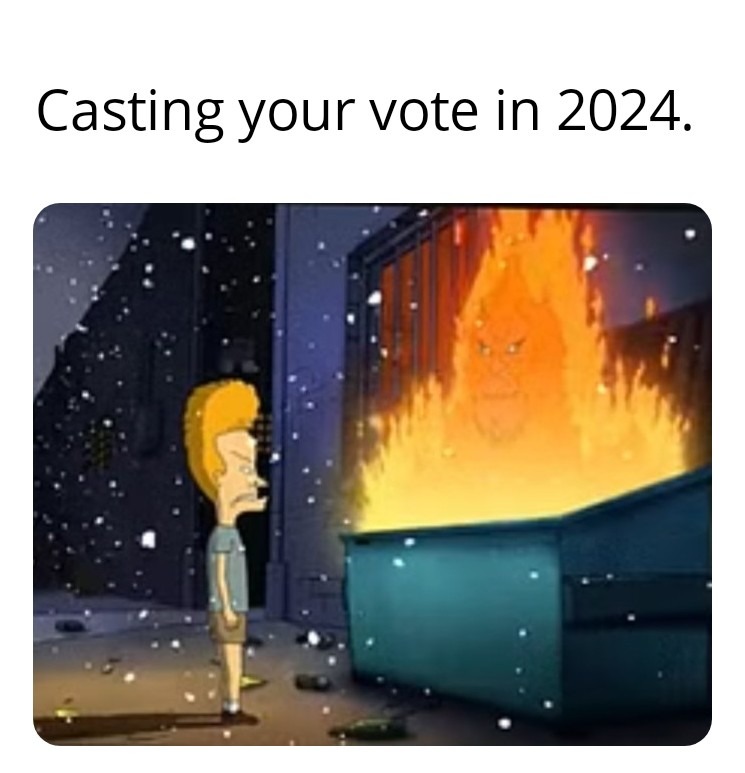 Election 2024 - meme