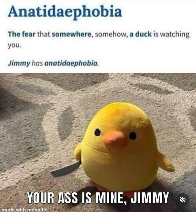 The fear that somwhere a duck is watching you - meme