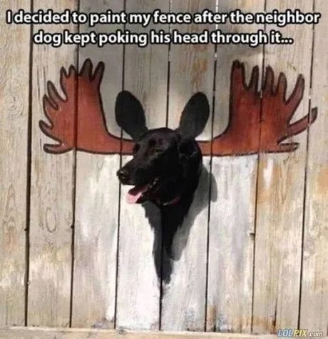 hehe cool - meme