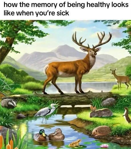 The memory of being healthy - meme