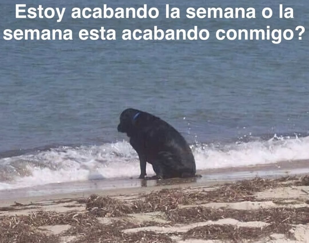 yo acabando la semana o la semana acabándome a mí - meme