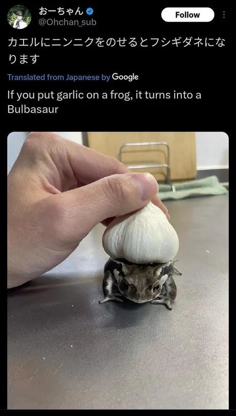 If you put garlic on a frog it becomes Bulbasaur. Science is wild - meme