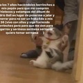 commented item thumbnail
