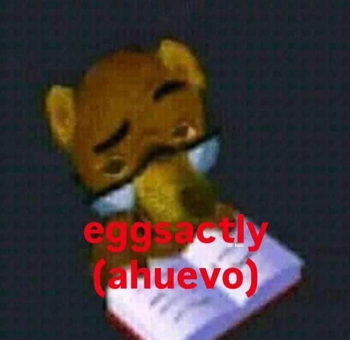 Eggsactly - meme