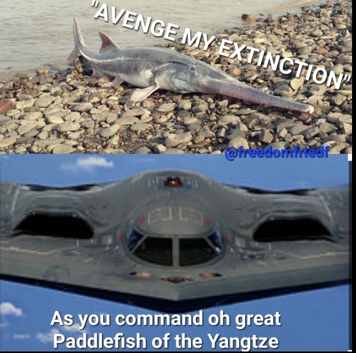 Title - meme