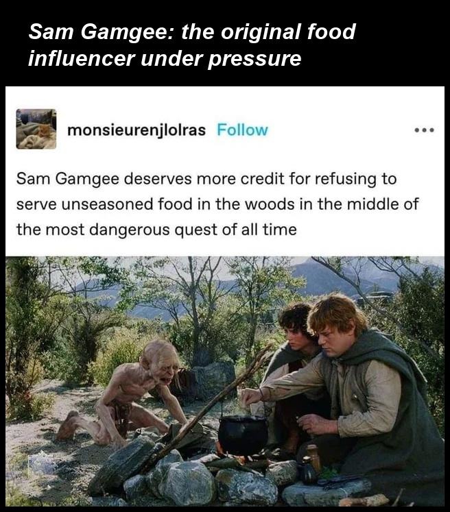 ﻿Sam Gamgee: the original food influencer under pressure monsieurenjlolras Follow Sam Gamgee deserves more credit for refusing to serve unseasoned food in the woods in the middle of the most dangerous quest of all time