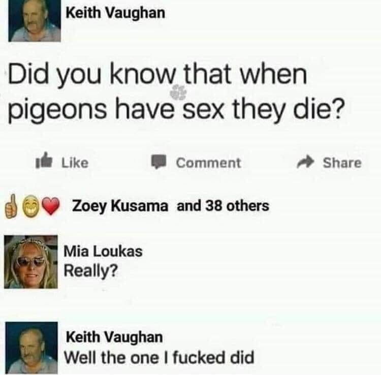 Pigeon fucker - meme