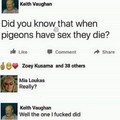 Pigeon fucker