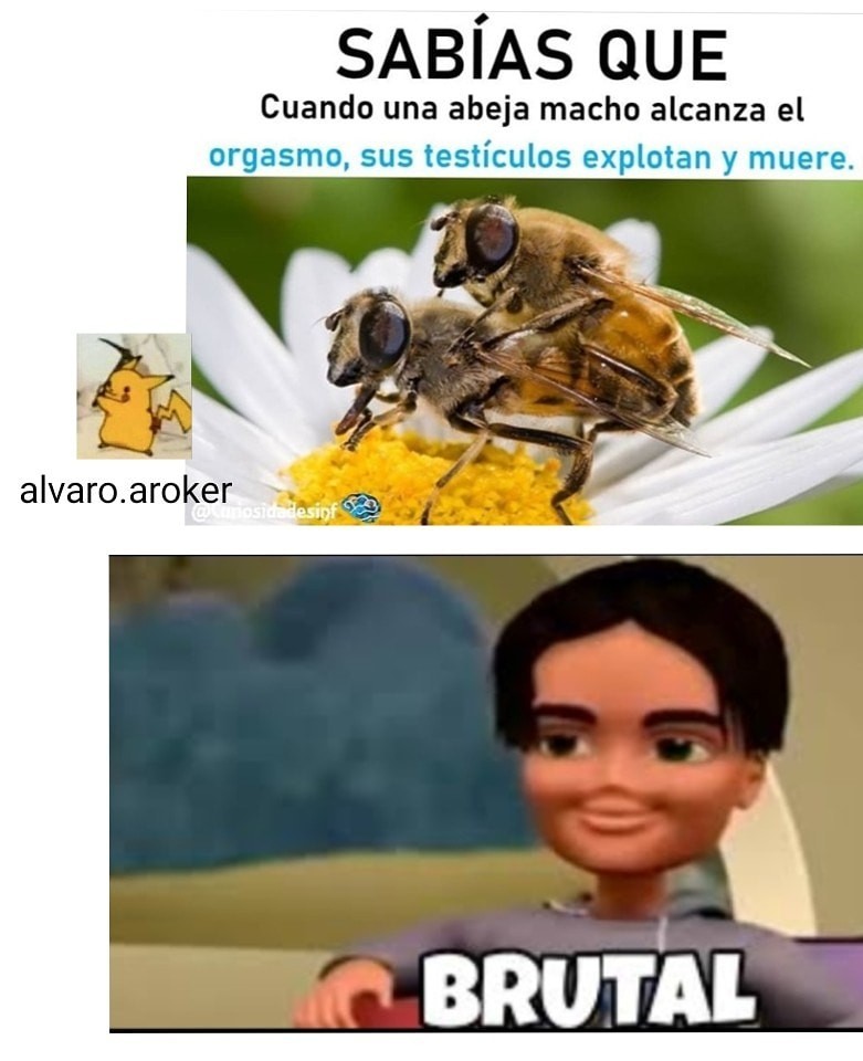 F por las abejas macho - meme