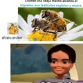F por las abejas macho