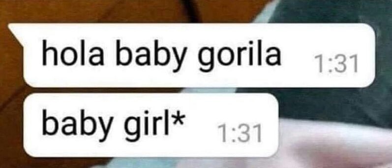 Che baby gorila - meme