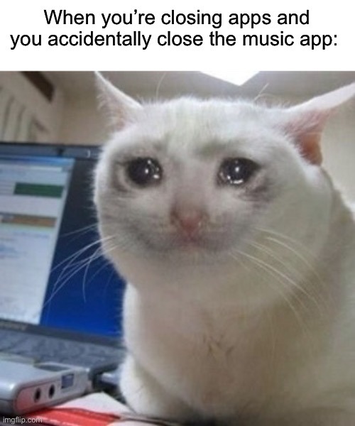 Relatable crying meme