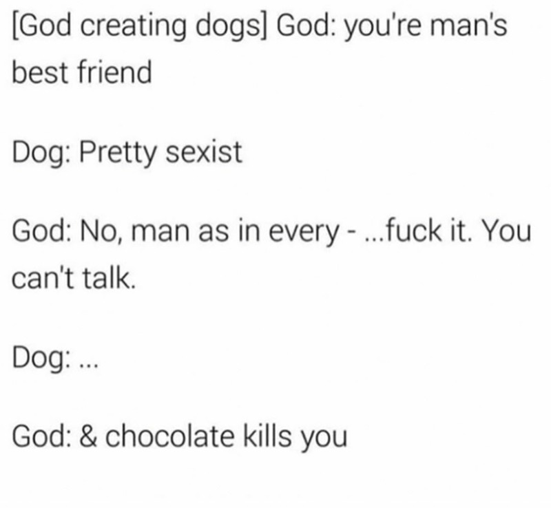 Dogs were cursed - meme