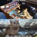 How e see the cat on the gaming board vs how we describe the cat on the gaming board