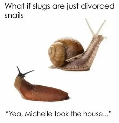 Divorved snails - meme