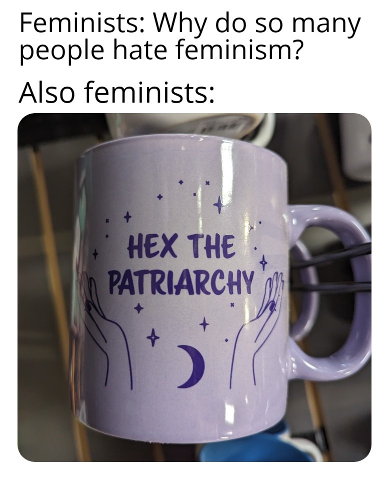 "AkShUaLlY there are different types of feminism" - meme