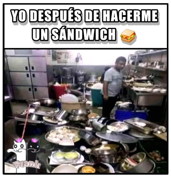 Yo después de hacerme un sándwich - meme