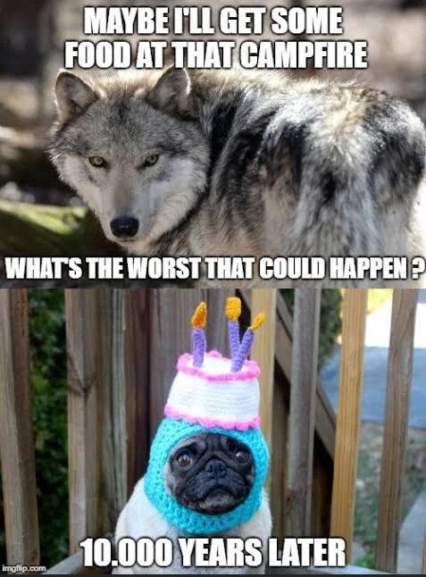 *whimper* - meme