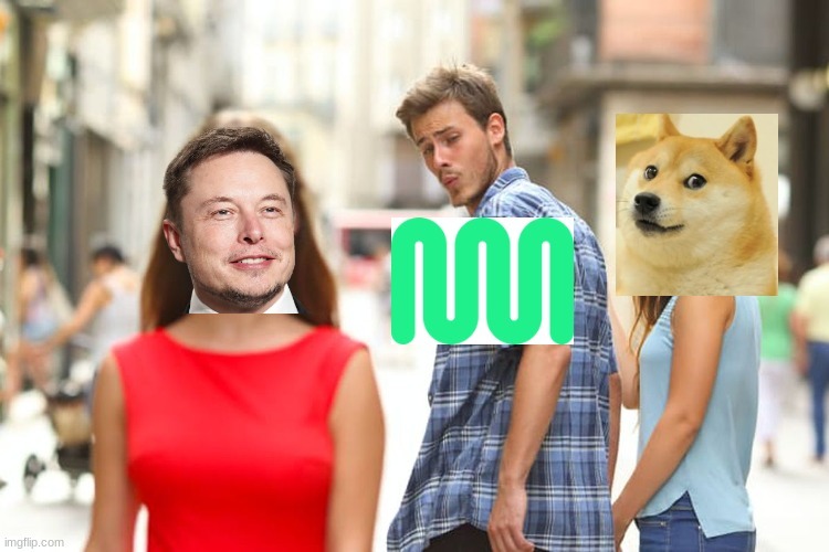 doge - meme