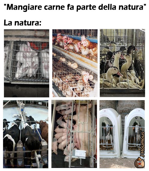 La natura... - meme