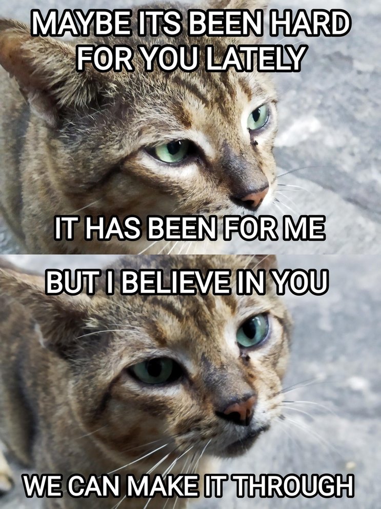 It’s been rough lately, but I believe in you. For real - meme