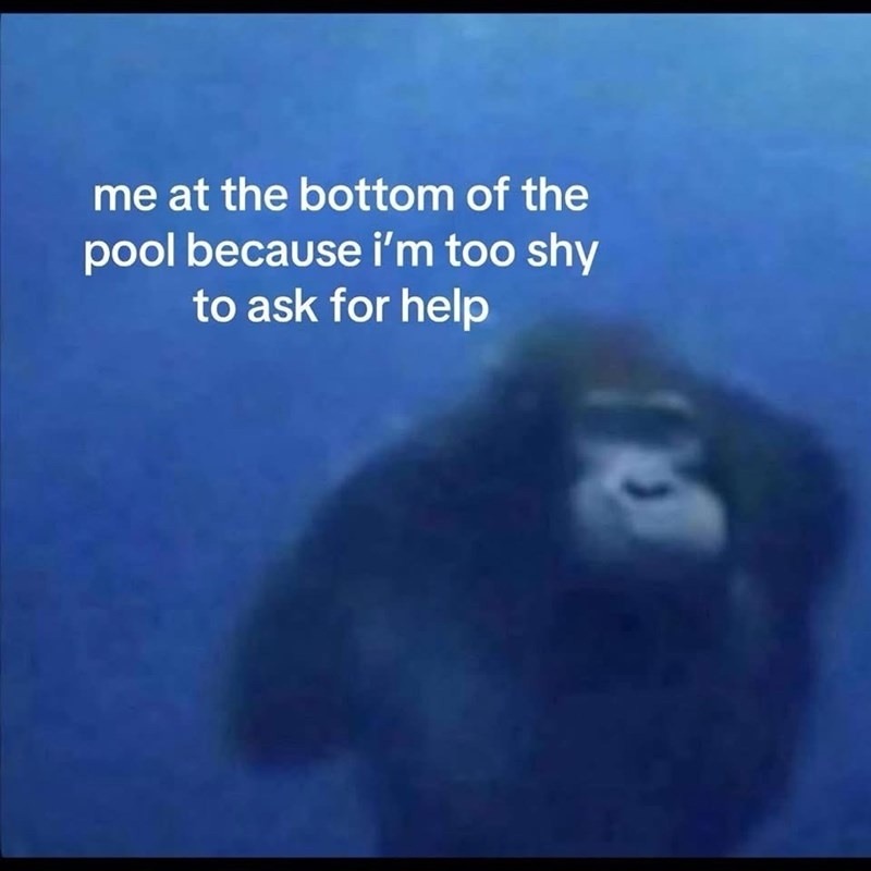 Me drowning in life but too shy to ask for help - meme