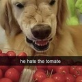 commented item thumbnail