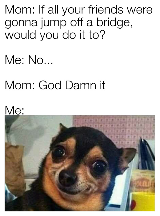 WTF Mom?! - meme