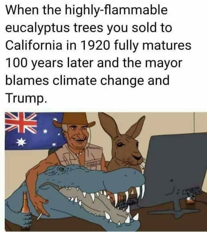 Happy Australia day cunts - meme