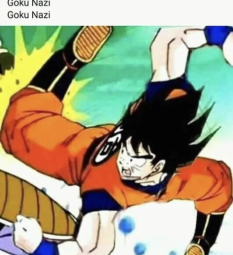Goku nazi - meme