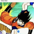 Goku nazi